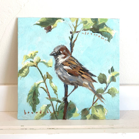 Sparrow